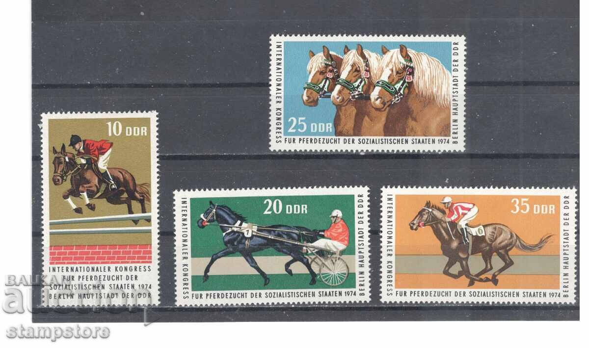 ΓΔΡ - Ιππικός αθλητισμός