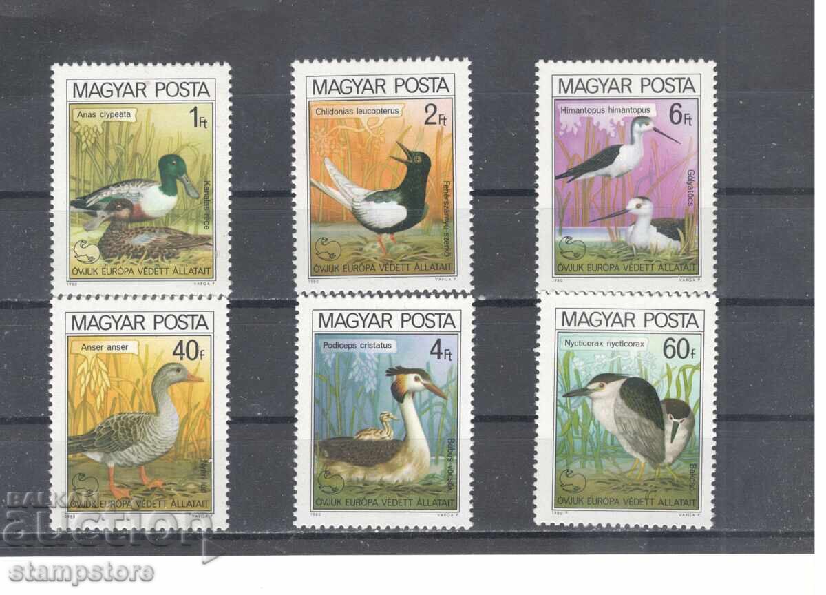 Ουγγαρία - Πτηνά Υδάτων Ουγγαρία - Πτηνά Υδάτων