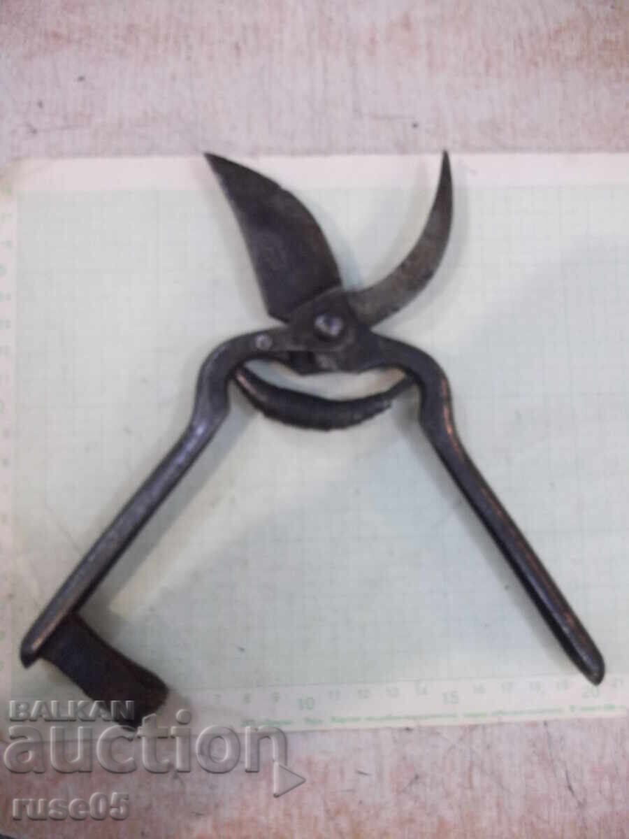 Ψαλίδι "KUNDE & Cie REMSCHEID" αμπελουργικό παλιό - 6