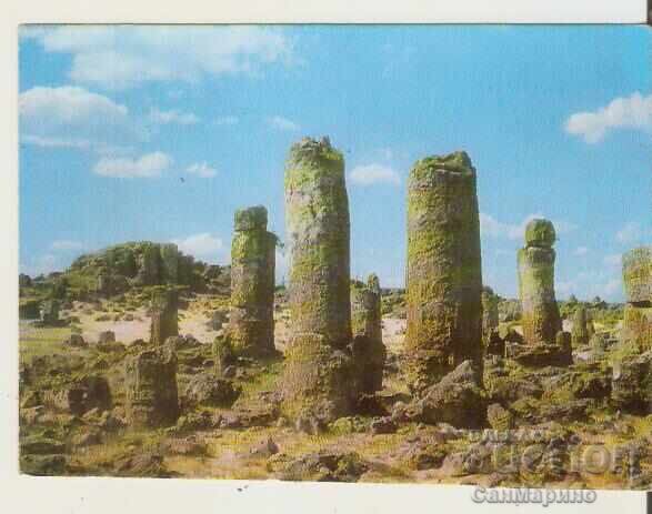 Kartichka Bŭlgariya Varna Τοποθεσία "Πομπίτε Καμάνι" 5*