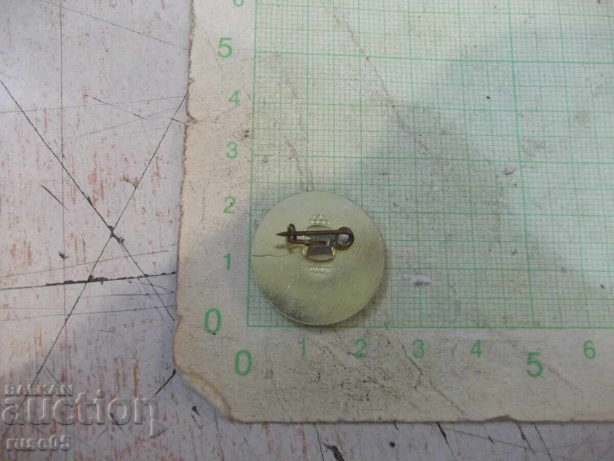 Аукцион Значка "Туристическо дружество *Витоша*" Аукцион Значка "Туристическо дружество *Витоша*"