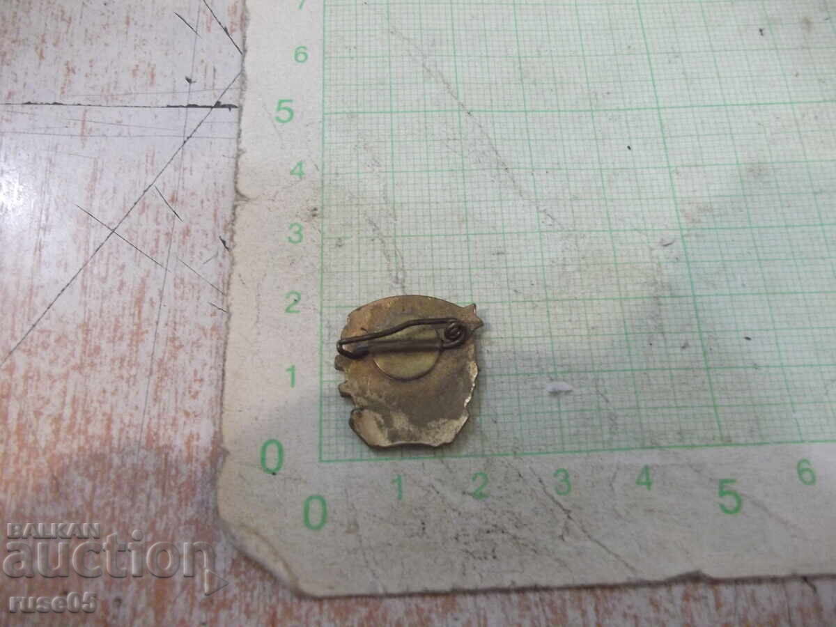 "DKMS" Enamel Badge with price 5.00 BGN | € 2.56 "DKMS" Enamel Badge with price 5.00 BGN | € 2.56