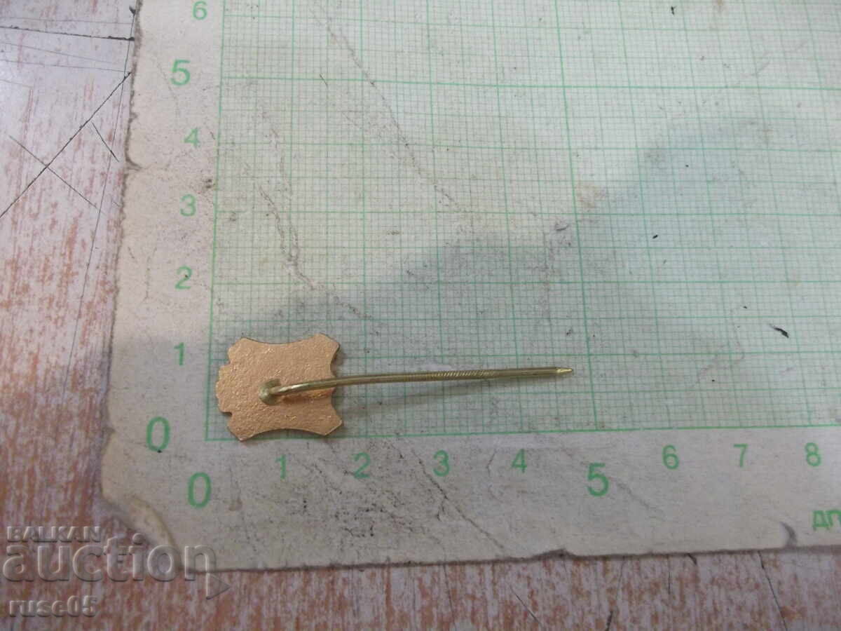 Δημοπρασία Σήμα "Snaha Jihlava"