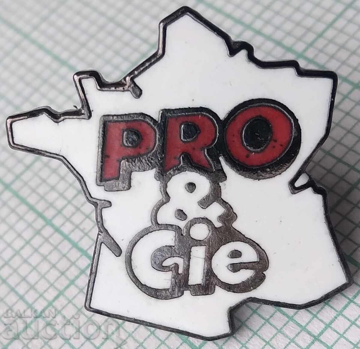 19144 Значка - PRO & Cie - карта Франция 19144 Значка - PRO & Cie - карта Франция