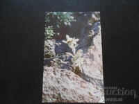 Παλιά βουλγαρική καρτ ποστάλ, 27.VIII.1958, Βελίνγκραντ