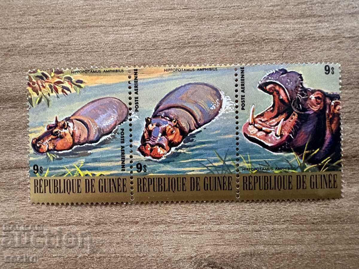 Гвинея - Хипопотам  (1977) MNH