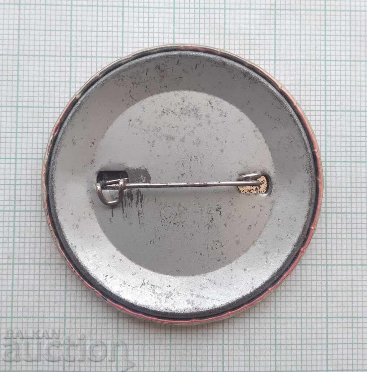 Auction  19186 Badges - Animated Character