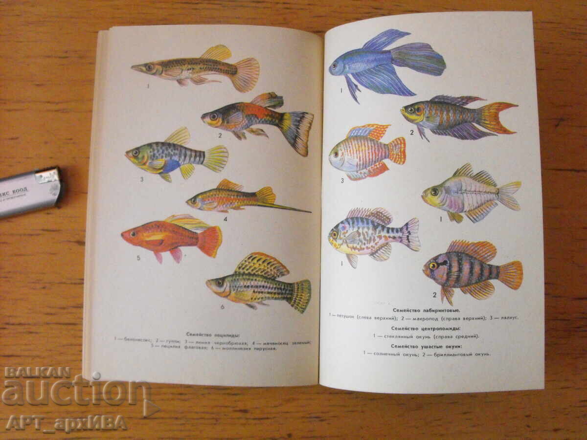 Παράδοση Ενυδρείο /στα ρωσικά/. Συγγραφέας: Β.Τ.Κόζερ