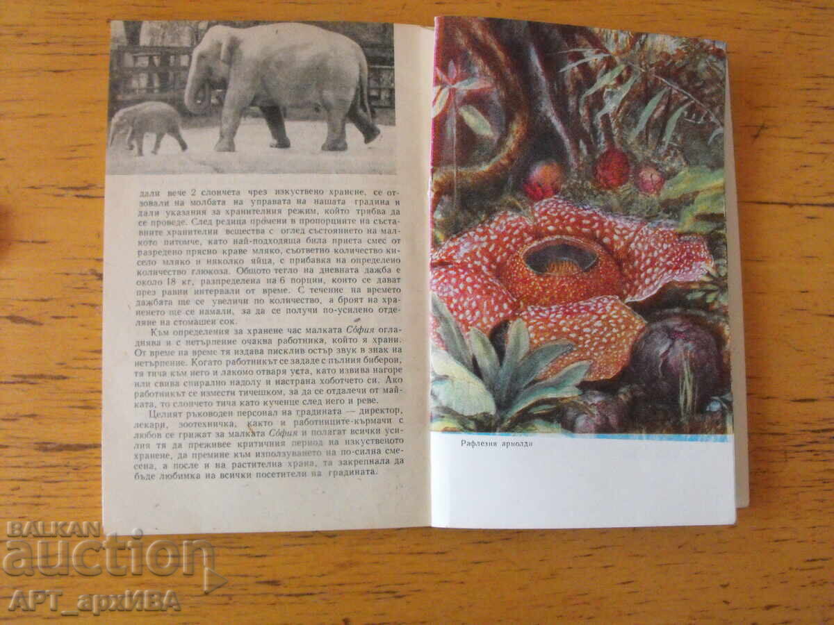 În lumea animalelor și plantelor cu preț 5.50 BGN | € 2.81