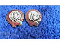 Συμμαχία Βουλγαρο-Σοβιετικών Κρατών, Στάλιν και Δημητρόφ, σμάλτο