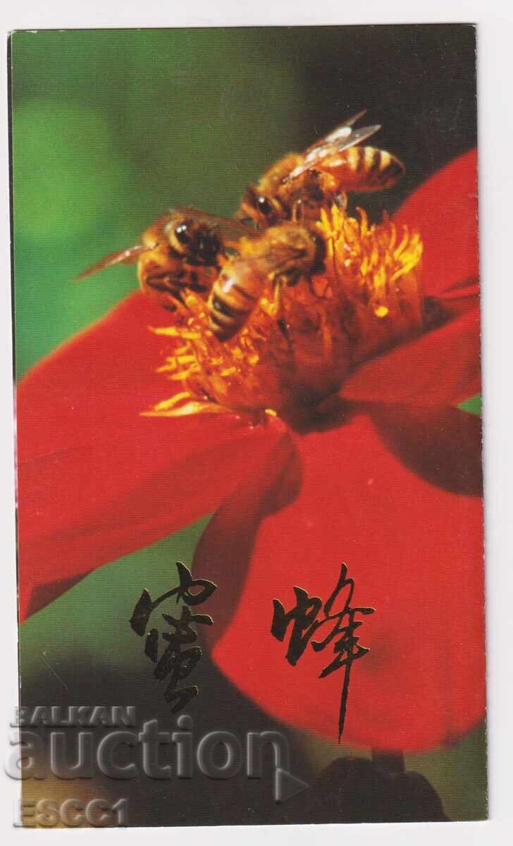 Timbre marcate Insecte Albine în cartonaș 1993 din China cu preț 4.30 BGN | € 2.20