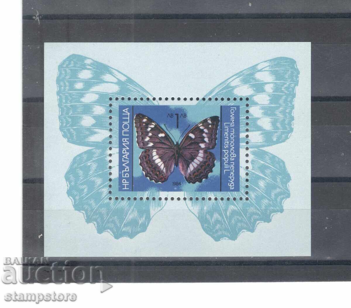 πεταλούδες πεταλούδες