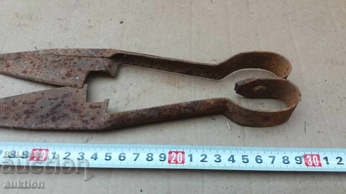 Licitație FOARCI VECHI DE OI