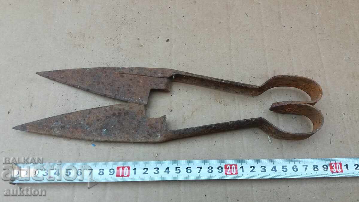 FOARCI VECHI DE OI - 5