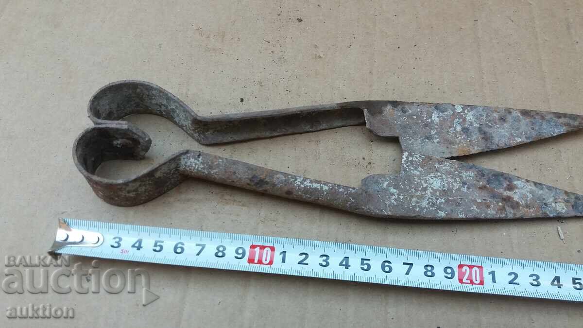 Livrarea FOARCI VECHI DE OI