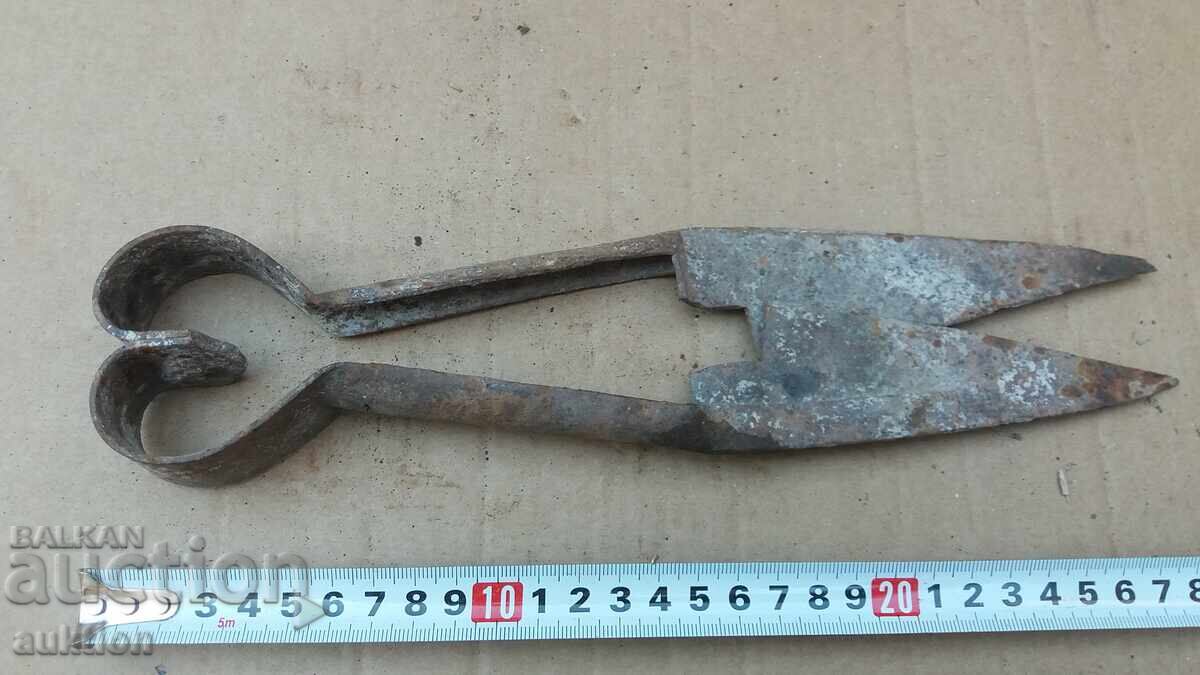 FOARCI VECHI DE OI - 5