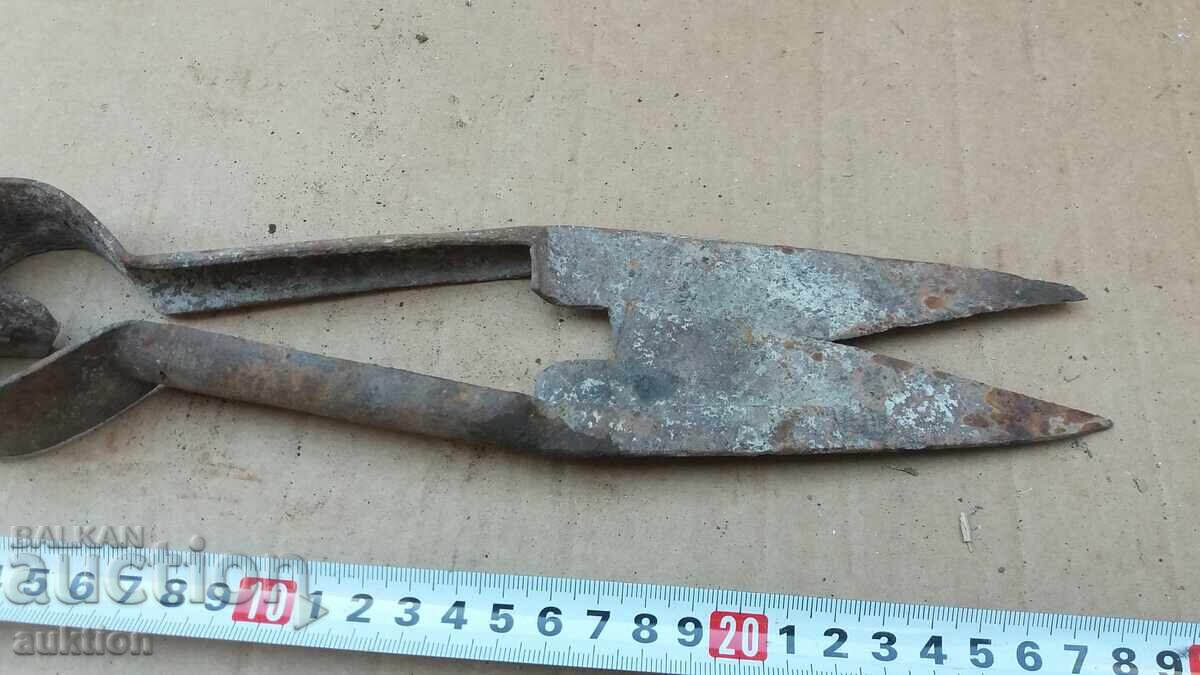 FOARCI VECHI DE OI - 6