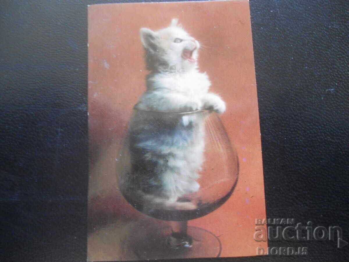 Calendar vechi, 1985