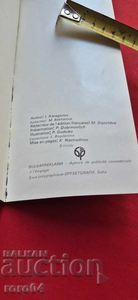 CORECOM - CORECOM - 7 CORECOM - CORECOM - 7