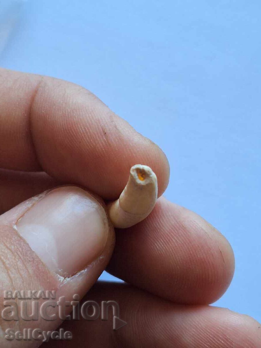 ✅ЗЪБИ ОТ ДЕЛФИН ❗ с цена 20.00 лв. | € 10.23 ✅ЗЪБИ ОТ ДЕЛФИН ❗ с цена 20.00 лв. | € 10.23