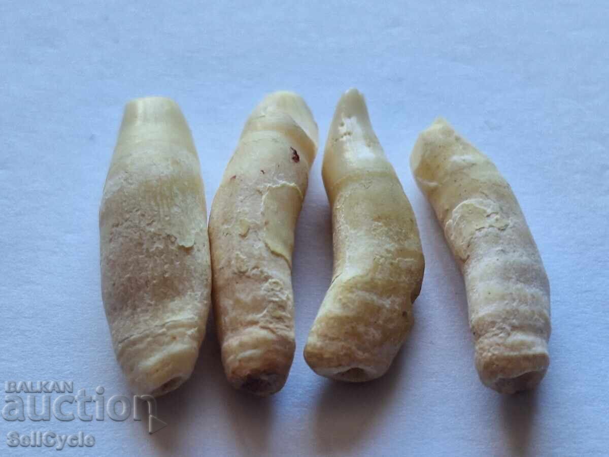 ✅ΔΟΝΤΙΑ ΑΠΟ ΔΕΛΦΙΝΙ ❗ με τιμή 20.00 BGN | € 10.23