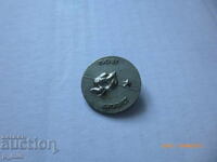 Badge - Pioneer Activist