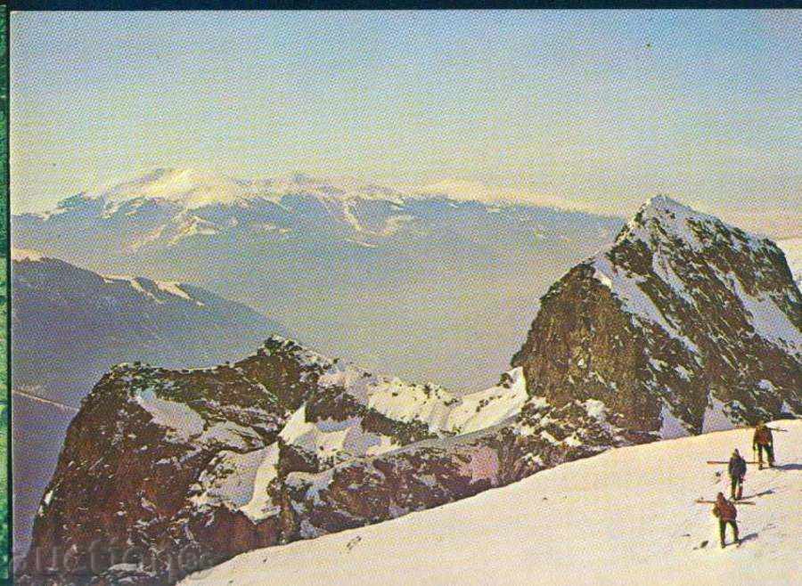 RILA septembrie E-12 987-A schior Diavolului Ace / M256