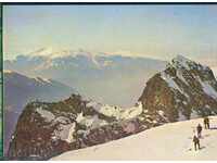 RILA Σεπτέμβριο E-12 987-Α σκιέρ διαβόλου βελόνες / M256