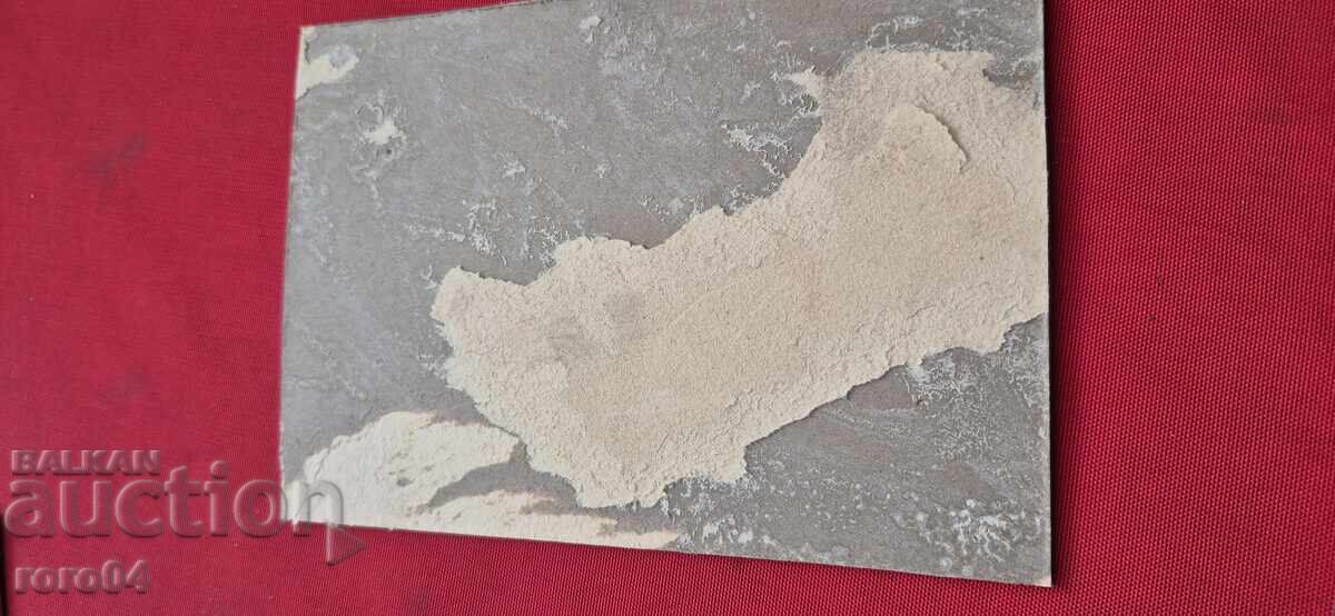 FOTO VECHE - CARTON - 7 FOTO VECHE - CARTON - 7