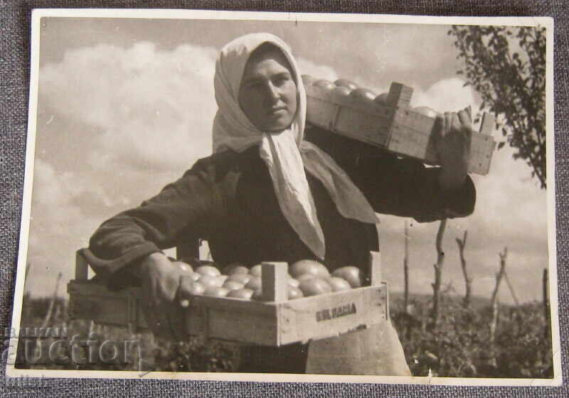 Παλιά καλλιτεχνική φωτογραφία Βουλγαρίας, γυναίκα με ντομάτες, βουλγαρική φωτογραφία