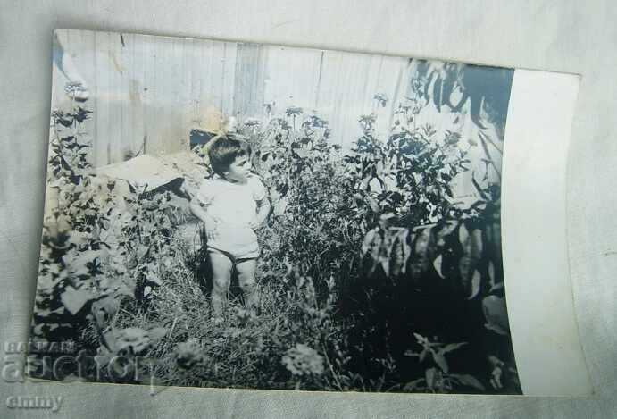 Old photo kid Old photo kid