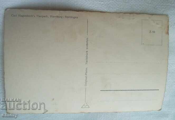 Аукцион Стара снимка картичка "Маймунски рай" - зоопарк Хагенбек Аукцион Стара снимка картичка "Маймунски рай" - зоопарк Хагенбек
