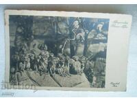 Стара снимка картичка "Маймунски рай" - зоопарк Хагенбек