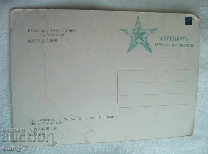 Παλιά καρτ ποστάλ - Εσπεράντο - "Δίνες από το Νότιο Βιετνάμ" με τιμή 4.00 BGN | € 2.05 Παλιά καρτ ποστάλ - Εσπεράντο - "Δίνες από το Νότιο Βιετνάμ" με τιμή 4.00 BGN | € 2.05
