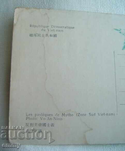 Δημοπρασία Παλιά καρτ ποστάλ - Εσπεράντο - "Δίνες από το Νότιο Βιετνάμ" Δημοπρασία Παλιά καρτ ποστάλ - Εσπεράντο - "Δίνες από το Νότιο Βιετνάμ"