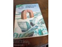 Mâna stângă a întunericului