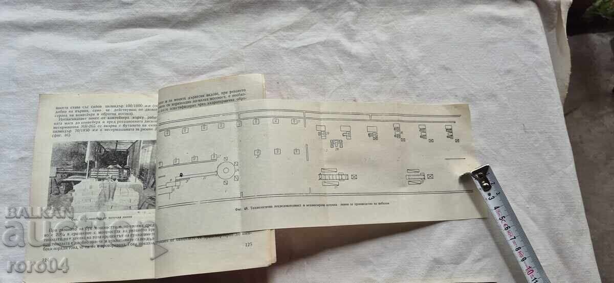 TĂIERE DE LEMN FĂRĂ AȘCHII - VIDENOV / BISKOV - 6