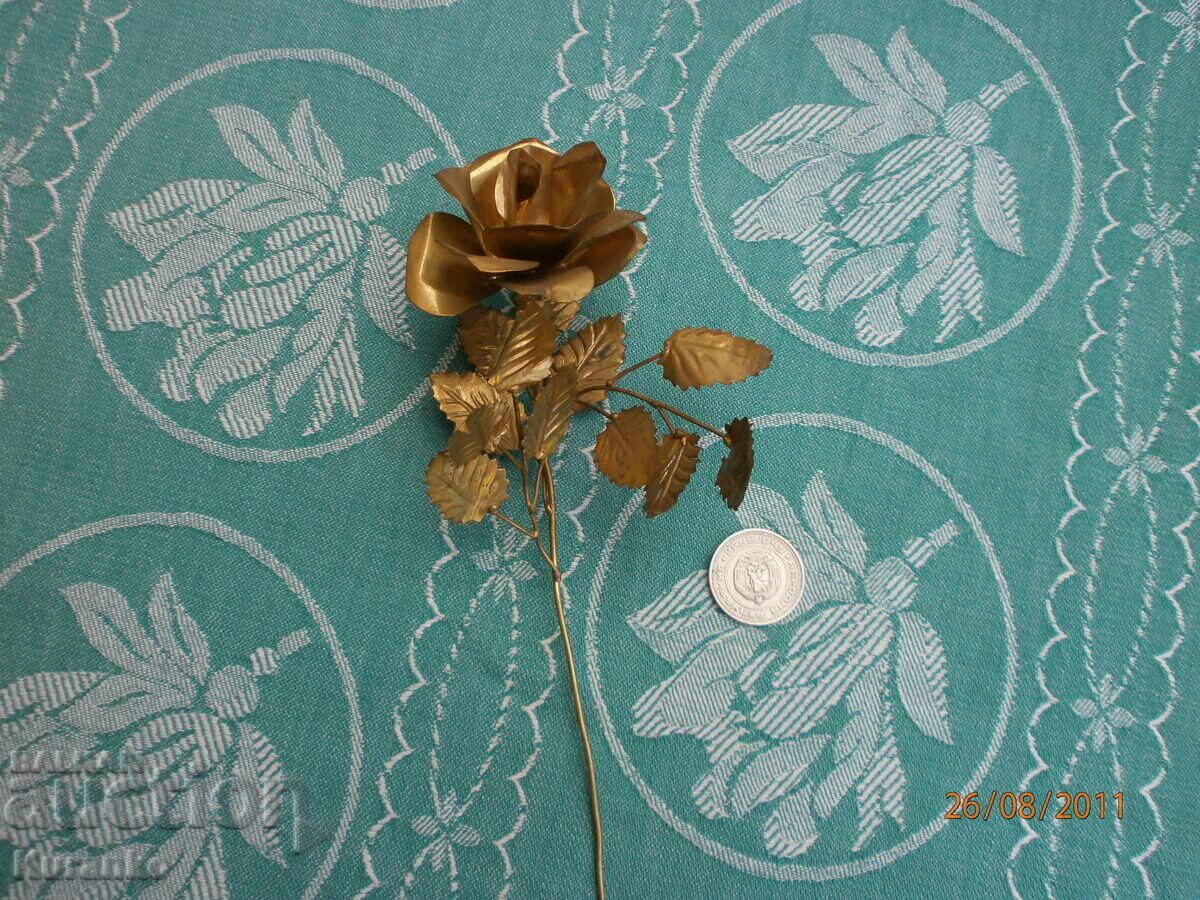 Rare bronze rose Rare bronze rose