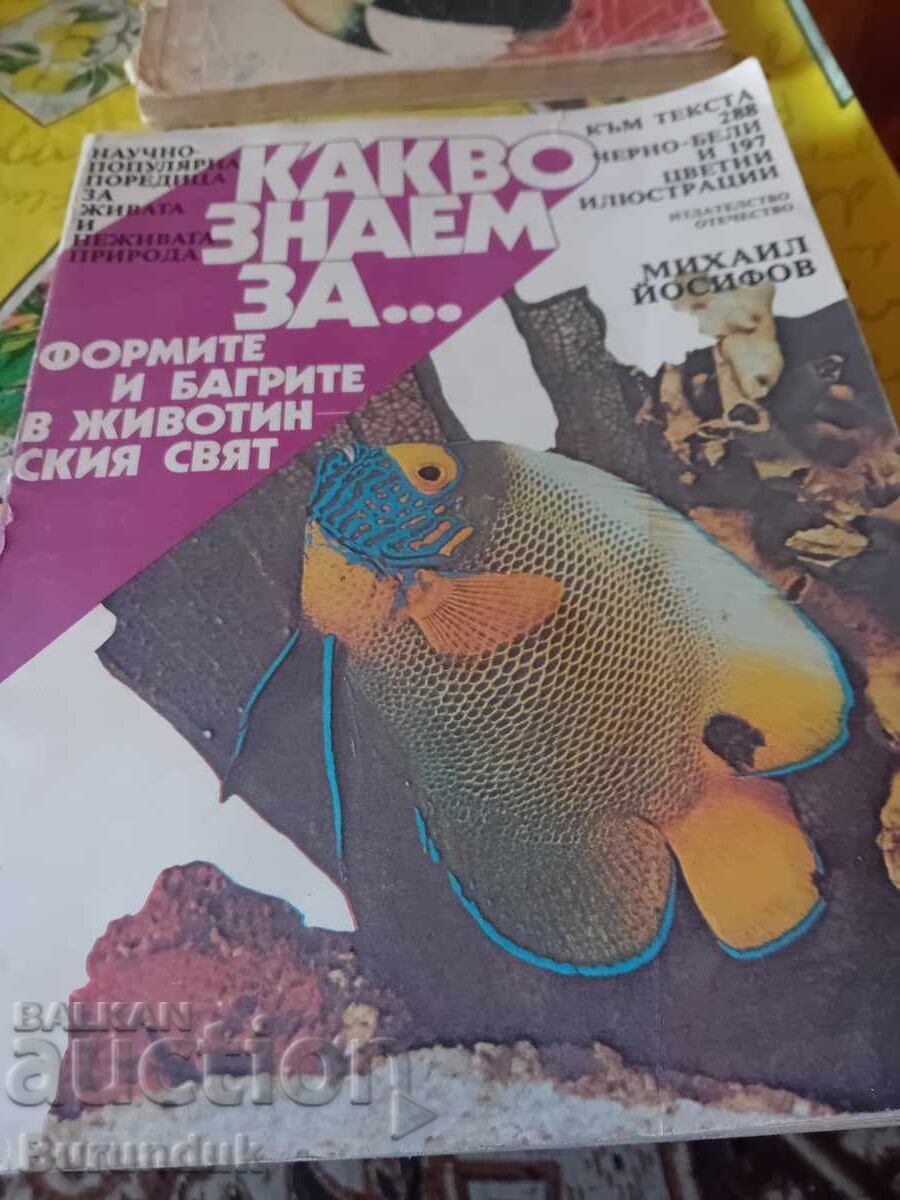 Ce știm despre forme și culori