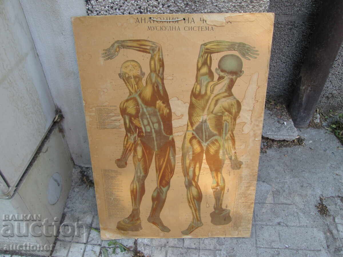 TABLOU DIDACTIC VECHI, VOLUMINOS, CU DOUĂ FEȚE, CITIȚI DESCRIEREA