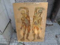 TABLOU DIDACTIC VECHI, VOLUMINOS, CU DOUĂ FEȚE, CITIȚI DESCRIEREA