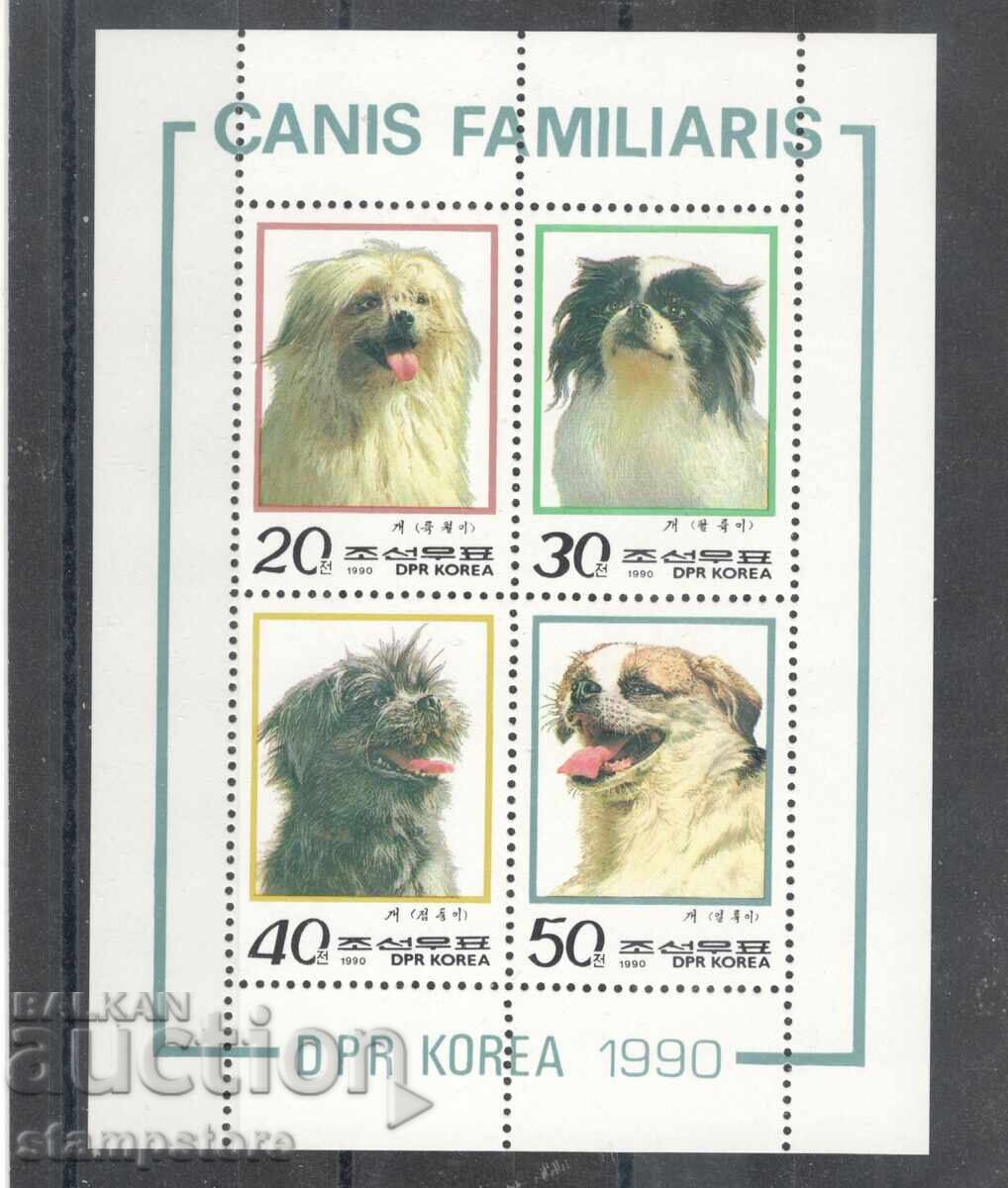 Βόρεια Κορέα - Σκύλοι Βόρεια Κορέα - Σκύλοι