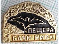 19224 Badges - Bacho Kiro Cave