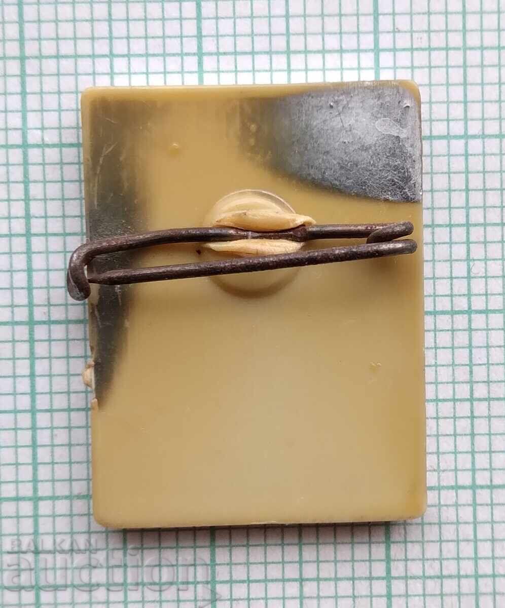 Licitație 19229 Insigna - carte - Damă de caro Licitație 19229 Insigna - carte - Damă de caro