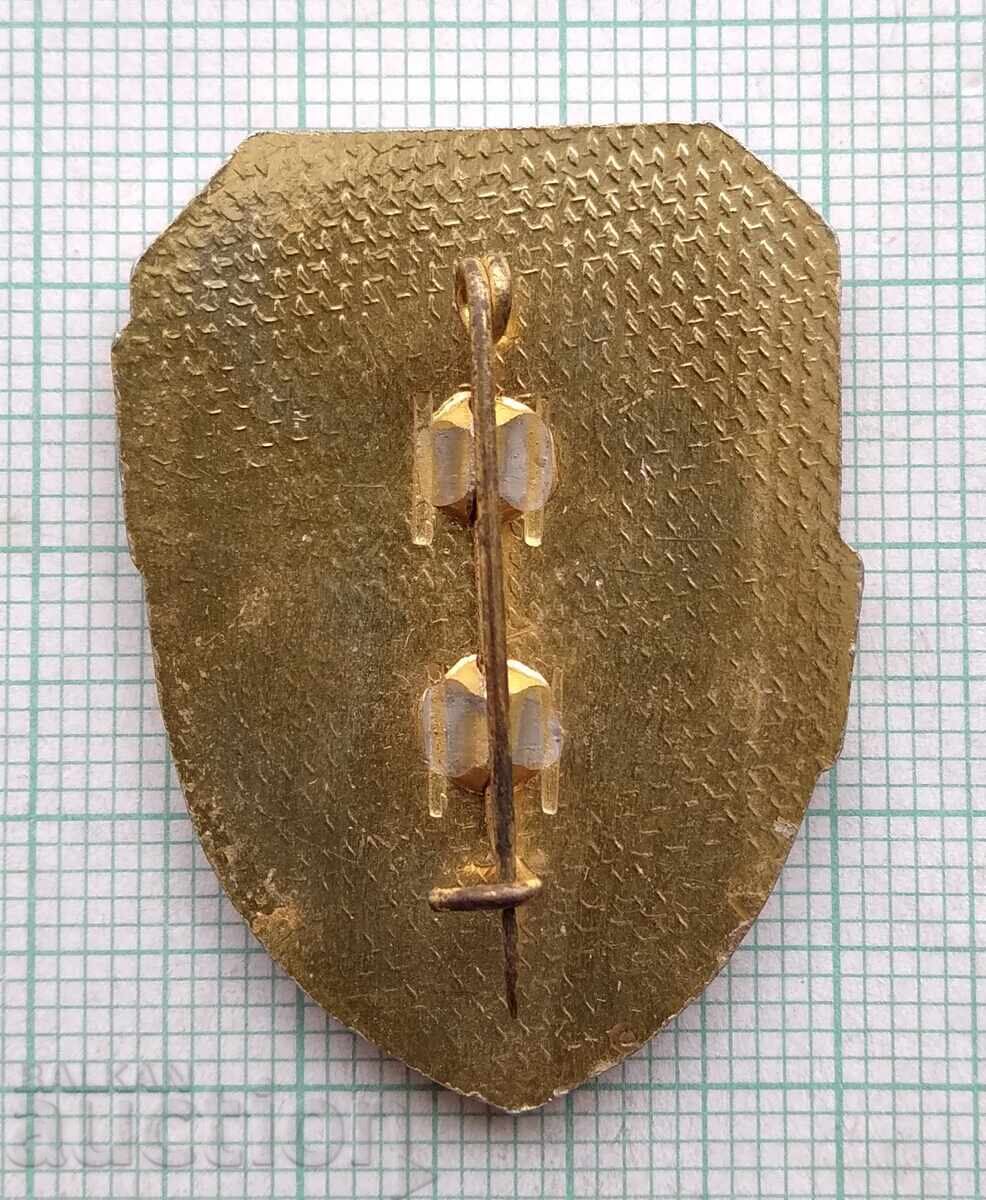 Auction  19233 Badge - Squad Member