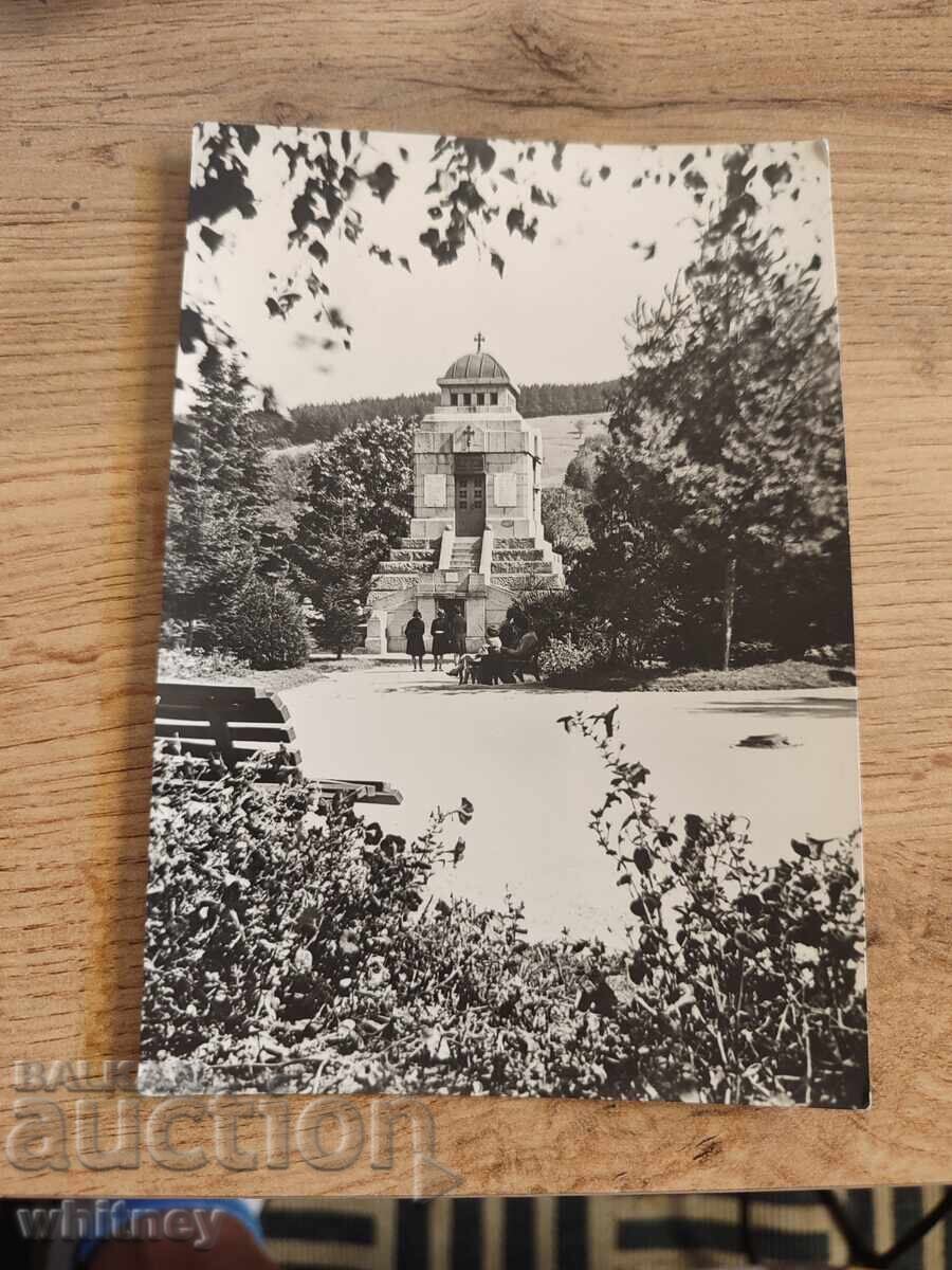 Stinging nettle Stinging nettle