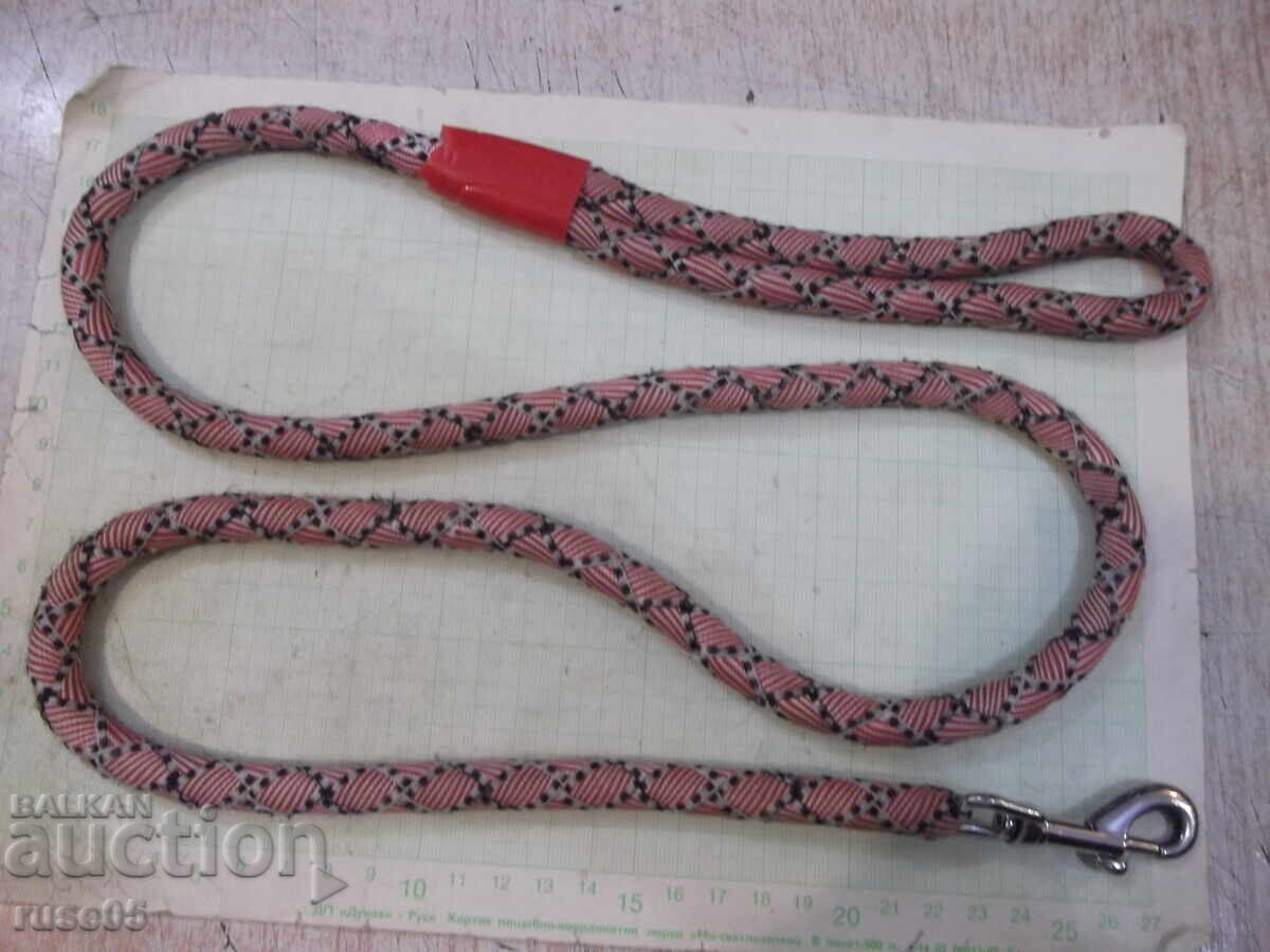 Delivery of Dog Leash - 2 Delivery of Dog Leash - 2