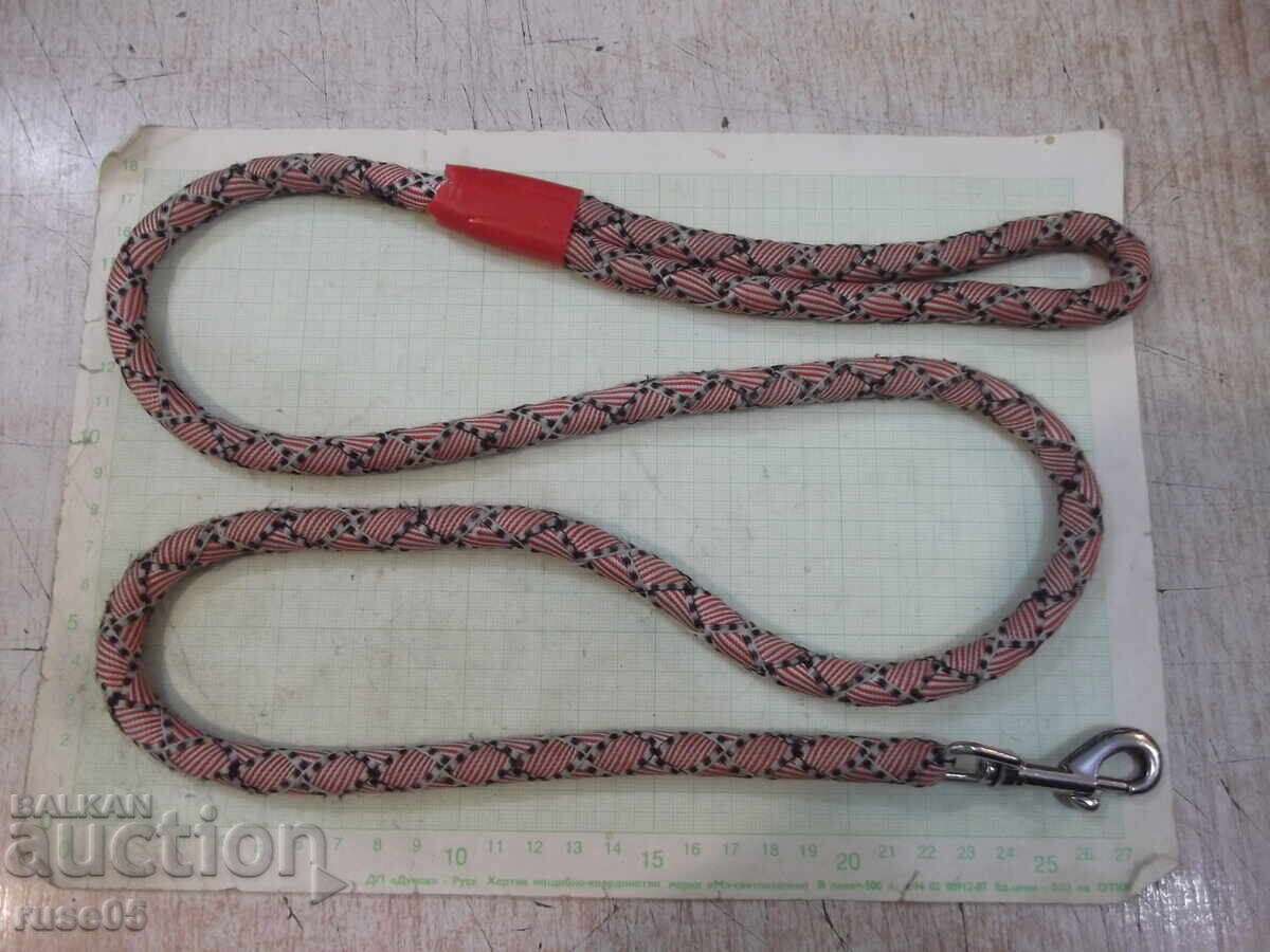 Dog Leash - 2 Dog Leash - 2