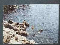 Ακτή της Μαύρης Θάλασσας