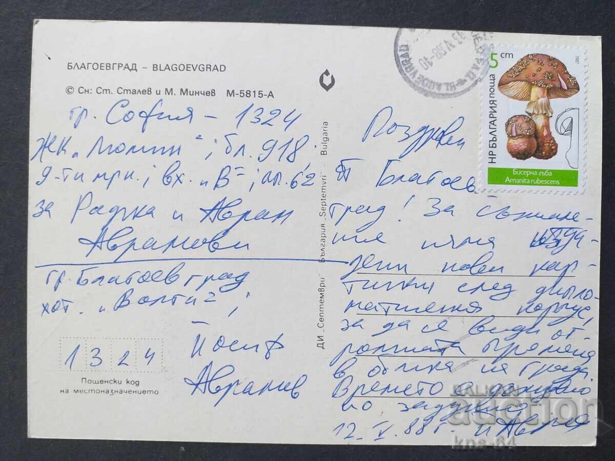 Blagoevgrad with price 0.70 BGN | € 0.36 Blagoevgrad with price 0.70 BGN | € 0.36